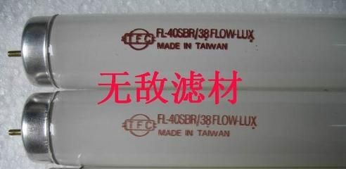 紅龍魚用什么濾材比較好【優質紅龍魚濾材推薦】