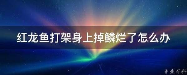 紅龍魚開燈就打架：如何解決紅龍魚開燈打架問題