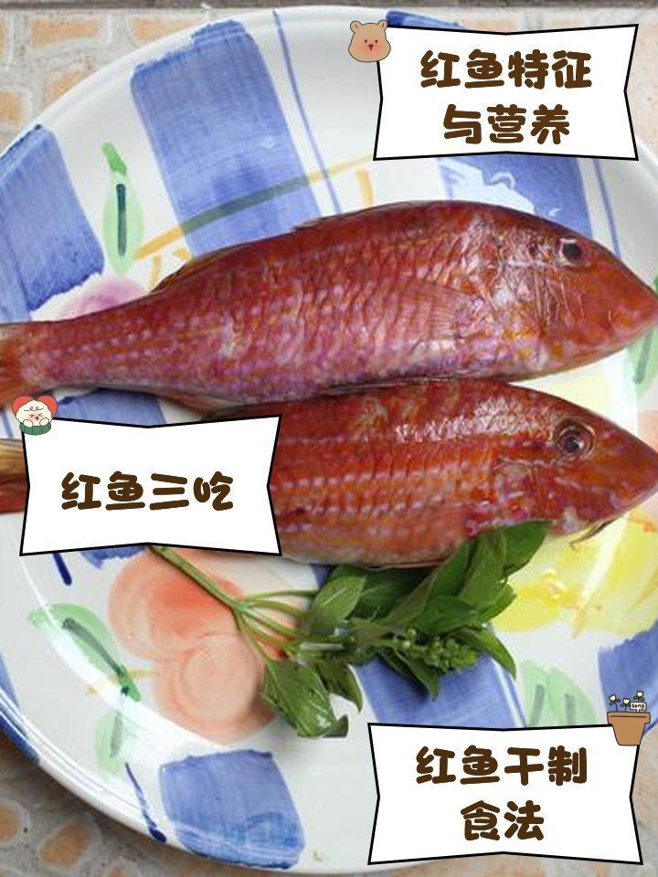 紅魚的做法大全家常做法 紅魚的做法大全家常做法 龍魚論壇 第7張