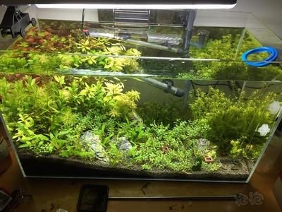 魚缸計算公式海水魚缸計算公式海水魚缸計算公式：海水魚缸容量計算公式 魚缸計算公式海水魚缸計算公式海水魚缸計算公式：海水魚缸容量計算公式 魚缸百科 第3張