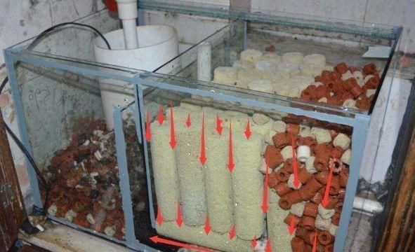 魚缸過濾材料怎么放視頻：如何正確放置魚缸過濾器的過濾器的過濾材料在視頻中 魚缸過濾材料怎么放視頻：如何正確放置魚缸過濾器的過濾器的過濾材料在視頻中 魚缸百科 第2張
