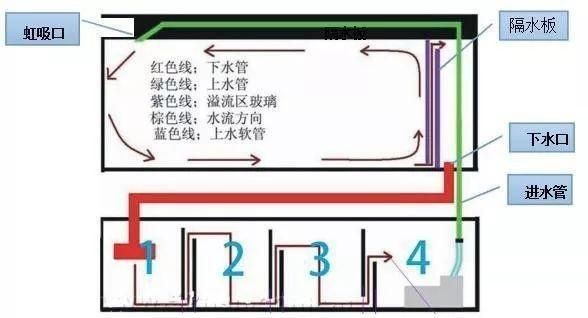 魚缸過濾材料怎么放視頻：如何正確放置魚缸過濾器的過濾器的過濾材料在視頻中 魚缸過濾材料怎么放視頻：如何正確放置魚缸過濾器的過濾器的過濾材料在視頻中 魚缸百科 第4張