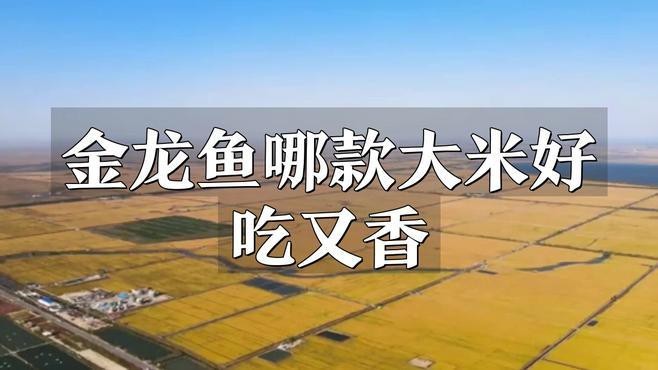 金龍魚(yú)稻花香有哪些系列？