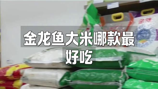 金龍魚稻花香有哪些系列？