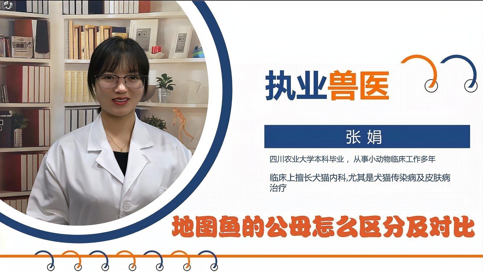 地圖魚公母對照視頻
