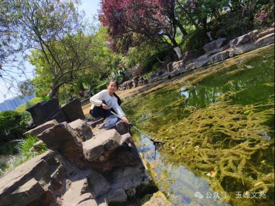 龍魚鱗片充血如何早期識別，如何判斷龍魚鱗片充血是否嚴重？