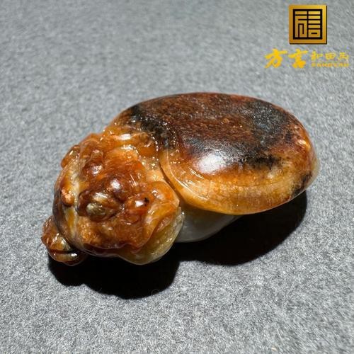 龍龜放門口正確示意圖