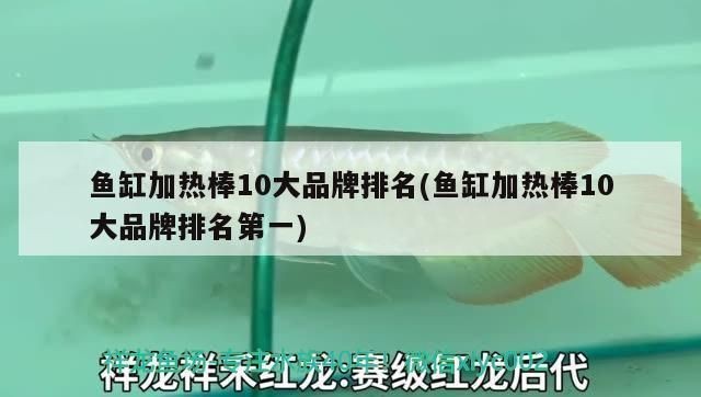 魚缸加熱棒10大品牌排名：魚缸加熱棒10大品牌排名森森集團有限公司百因美