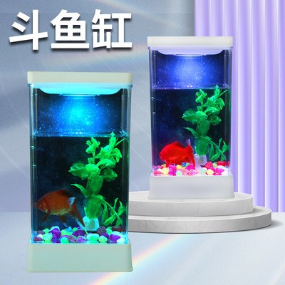 玻璃魚缸圖片大全 玻璃魚缸圖片大全 龍魚百科 第2張