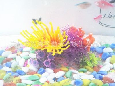 廣州魚缸造景批發批發市場：廣州魚缸造景批發市場及其相關信息搜索結果整理的一些信息 廣州魚缸造景批發批發市場：廣州魚缸造景批發市場及其相關信息搜索結果整理的一些信息 魚缸百科 第3張
