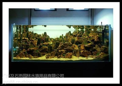 廣州魚缸造景批發批發市場：廣州魚缸造景批發市場及其相關信息搜索結果整理的一些信息 廣州魚缸造景批發批發市場：廣州魚缸造景批發市場及其相關信息搜索結果整理的一些信息 魚缸百科 第1張