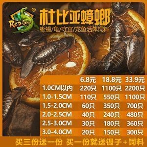 龍魚多寬缸最合適：如何判斷龍魚吃什么長得快營養好