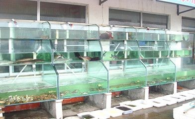海鮮魚缸的消毒方法：海鮮魚缸消毒方法
