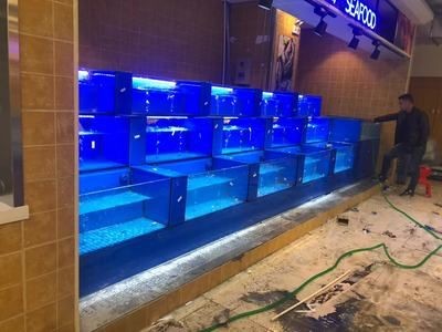 海鮮魚缸的消毒方法：海鮮魚缸消毒方法