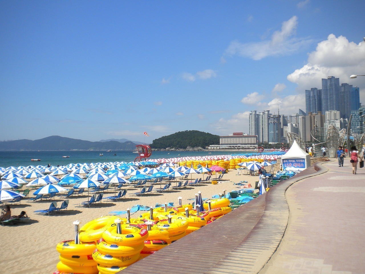 阜新市細河區友家海水俱樂部（阜新市細河區友家海水俱樂部地址）