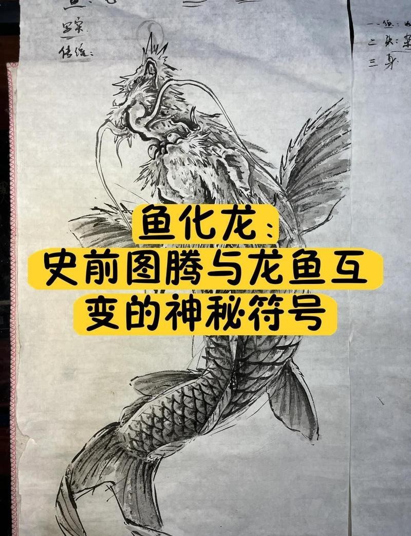 魚(yú)化龍屬于什么檔次