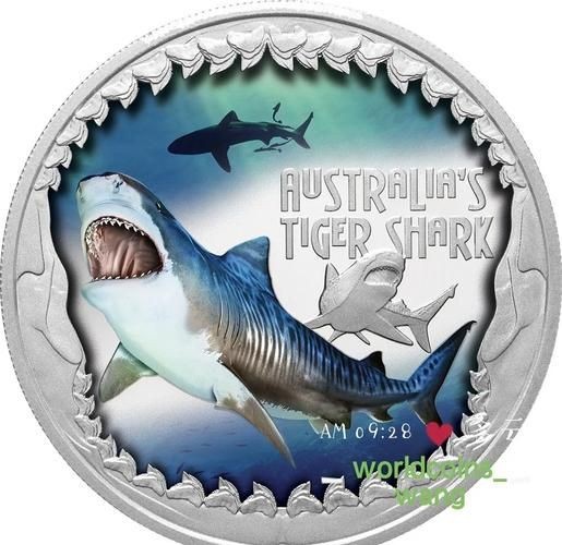 虎鯊圖片 龍魚論壇 第17張 虎鯊圖片 虎鯊圖片 龍魚論壇 第17張