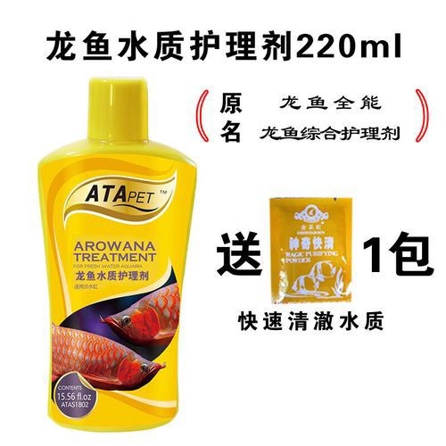 如何預防龍魚鰓蓋小洞的感染？