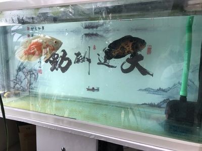 魚缸多少錢一米（魚缸多少錢一米,1米魚缸的價格）