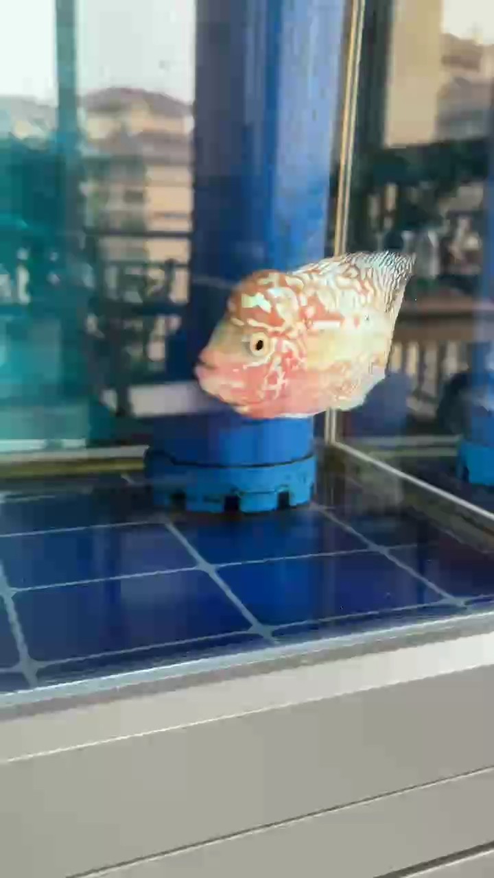 2個月退沙中了
