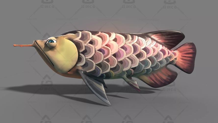 金龍魚(yú)吉祥如意卡圖片