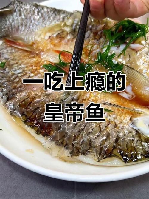 帝王魚(yú)圖片 帝王魚(yú)圖片 龍魚(yú)論壇 第11張