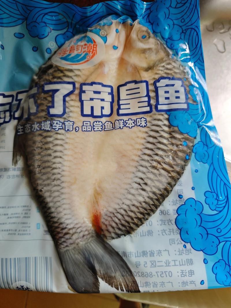 帝王魚(yú)圖片 帝王魚(yú)圖片 龍魚(yú)論壇 第9張