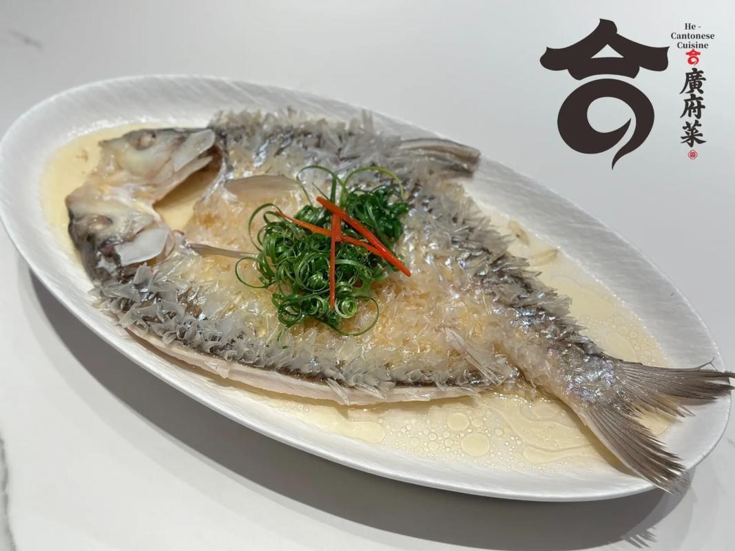 帝王魚(yú)圖片 帝王魚(yú)圖片 龍魚(yú)論壇 第19張