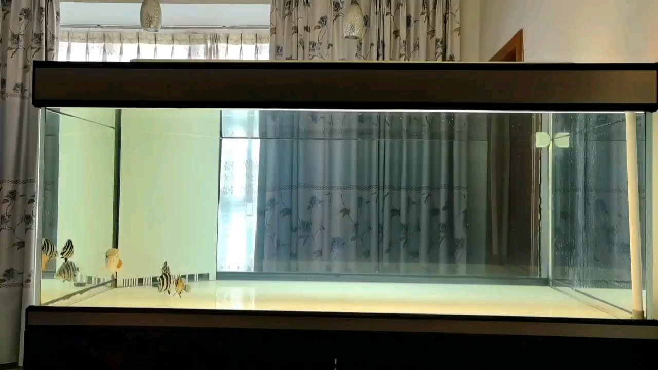 又大了一點！