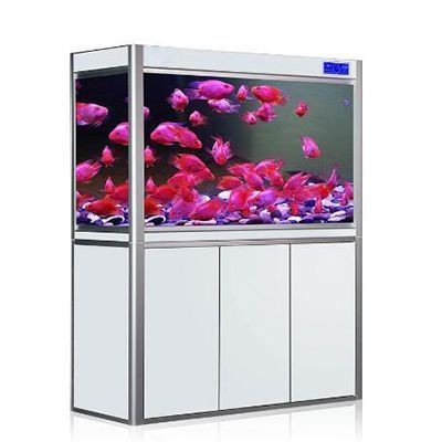 閩江的魚缸質(zhì)量怎么樣：閩江魚缸與其他品牌的比較閩江魚缸售后流程介紹
