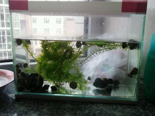 撫順市新撫榮盛水族館（撫順市新撫榮盛水族館電話）