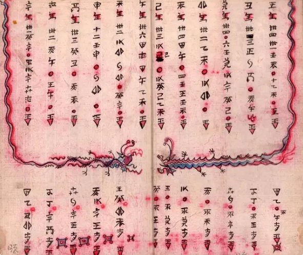 水族名錄查詢入口