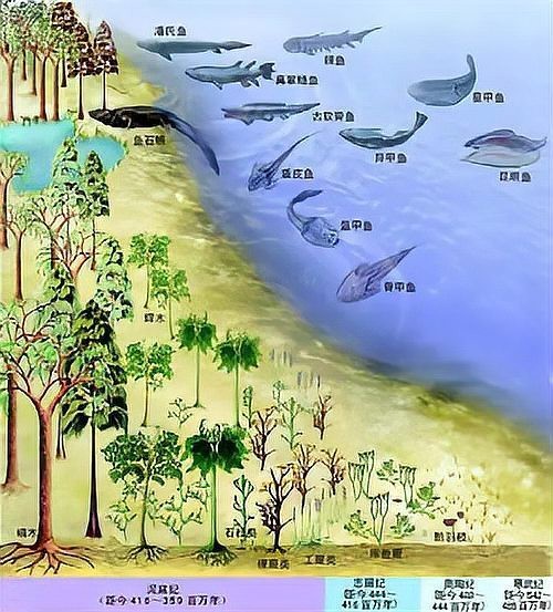 第一條魚的誕生