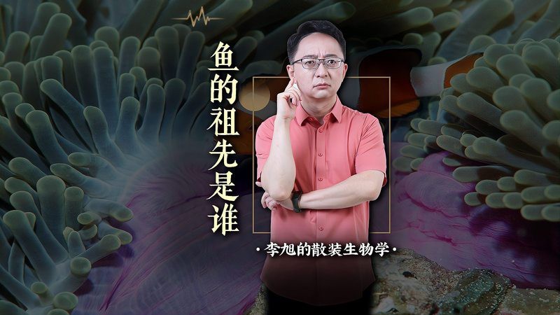 第一條魚的誕生