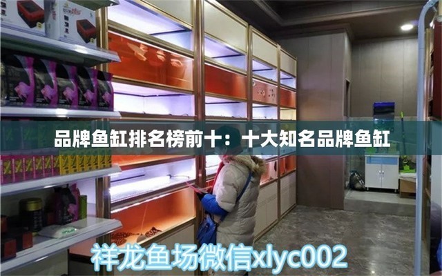 永清縣城內愛博水族館（永清縣城內愛博水族館地址） 永清縣城內愛博水族館（永清縣城內愛博水族館地址） 全國水族館企業名錄