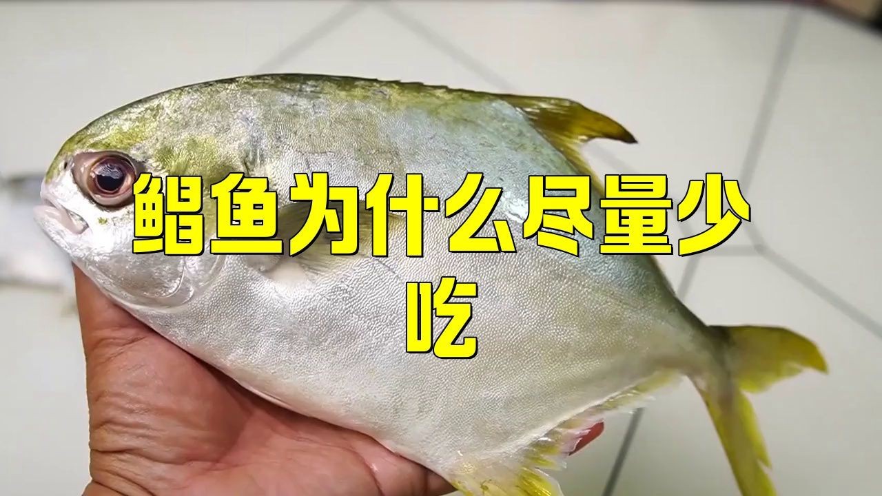紅鯧魚盡量少吃的原因 紅鯧魚盡量少吃的原因 龍魚論壇 第3張