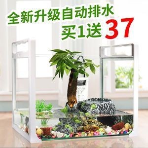 魚缸水質管理的技巧：底下過濾的魚缸排水通常是由水孔下方的排水閥來控制的