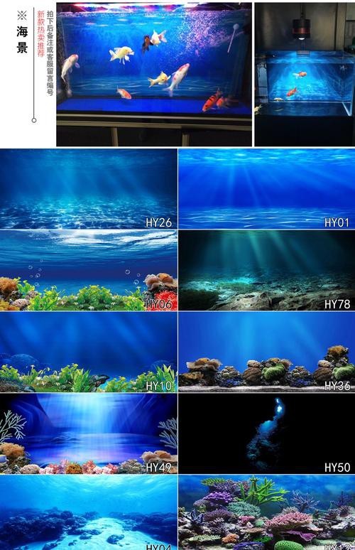 魚缸3D壁紙高清大圖