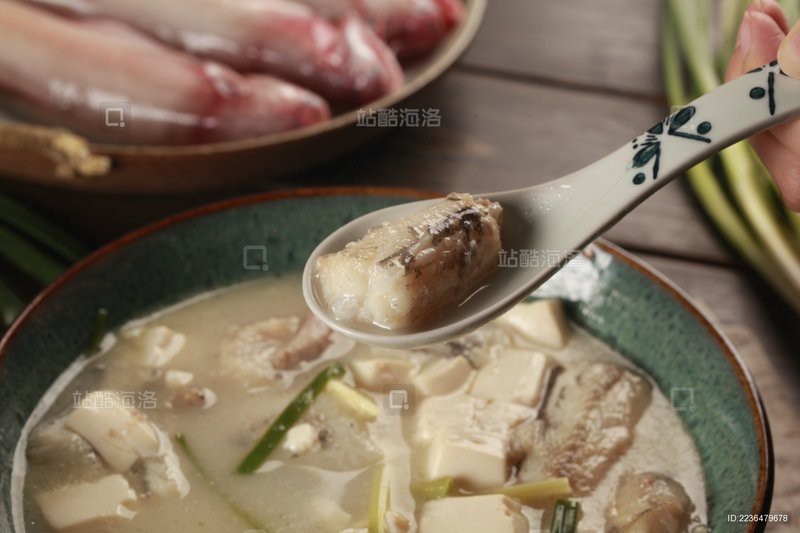 給我一些龍頭魚的圖片