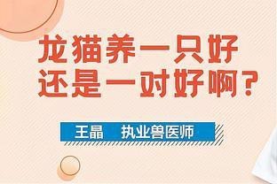 龍貓適合只養一只嗎