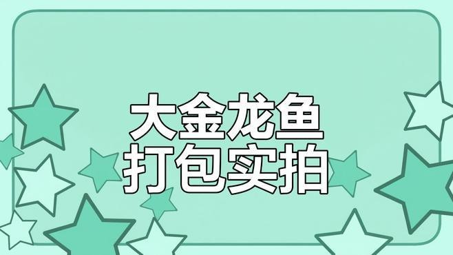 金龍魚外包裝箱