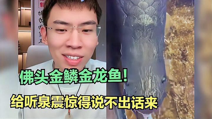 金龍魚視頻中哪個最震撼？ 金龍魚視頻中哪個最震撼？ 龍魚論壇 第1張