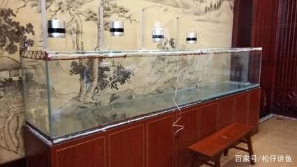 國外土豪家中的巨型魚缸造景，100噸水體超級南美缸：南美魚缸造景的藝術與科學
