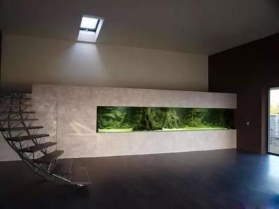 國外土豪家中的巨型魚缸造景，100噸水體超級南美缸：南美魚缸造景的藝術與科學