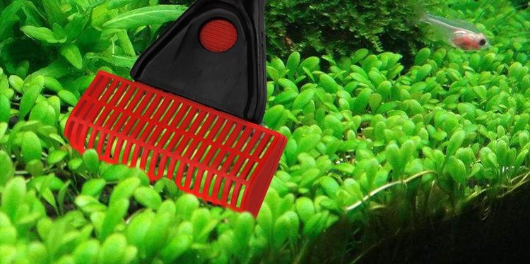 魚缸擦洗工具