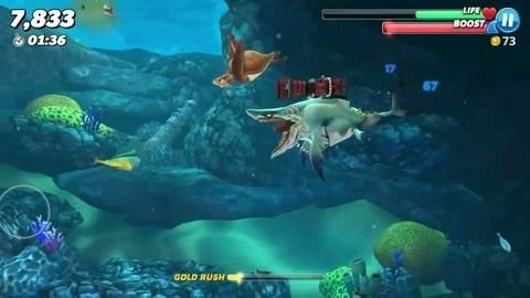 龍魚一周不吃東西能活多久：龍魚一周不吃東西能活多久并沒有一個固定的答案 龍魚一周不吃東西能活多久：龍魚一周不吃東西能活多久并沒有一個固定的答案 龍魚百科 第1張