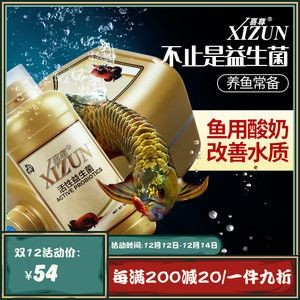 龍魚(yú)用酸奶的好處：酸奶對(duì)于龍魚(yú)的生長(zhǎng)和健康有著多方面的好處