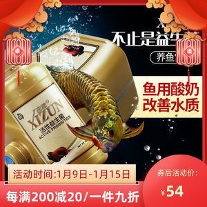 龍魚用酸奶的好處：酸奶對于龍魚的生長和健康有著多方面的好處