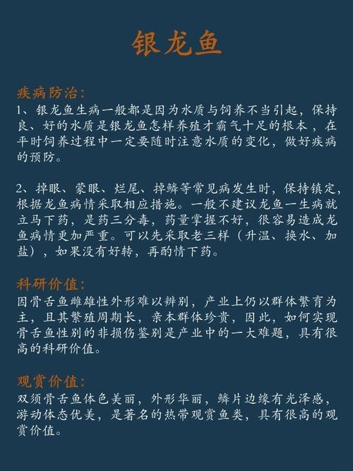 銀龍魚的養殖方法和注意事項視頻教學大全圖片 龍魚百科 第42張 銀龍魚的養殖方法和注意事項視頻教學大全圖片 銀龍魚的養殖方法和注意事項視頻教學大全圖片 龍魚百科 第42張