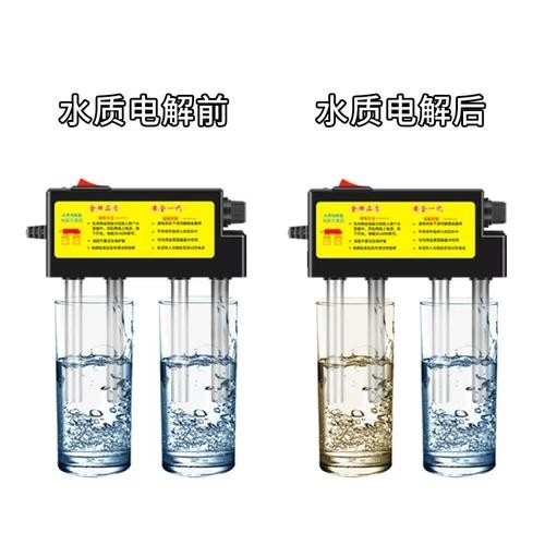 銀龍魚的養殖方法和注意事項視頻教學大全圖片 龍魚百科 第32張 銀龍魚的養殖方法和注意事項視頻教學大全圖片 銀龍魚的養殖方法和注意事項視頻教學大全圖片 龍魚百科 第32張